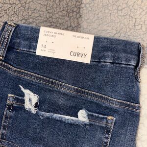 American Eagle Dream Jean Curvy High Rise Jegging